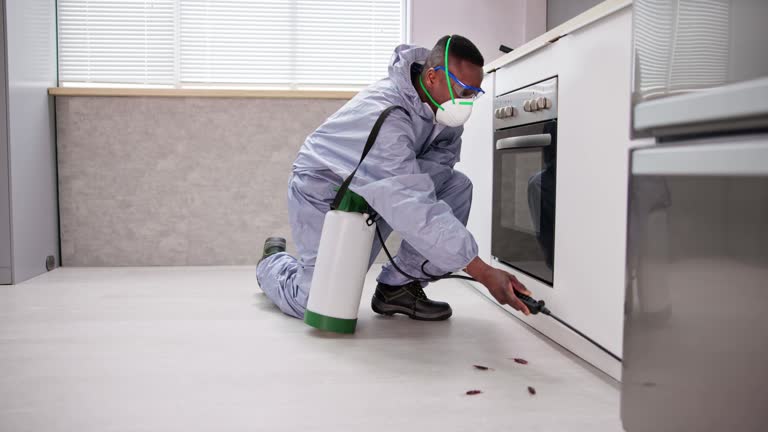 Real Estate Pest Inspections